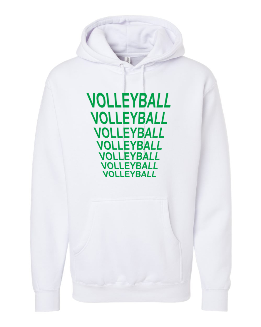 Volleyball