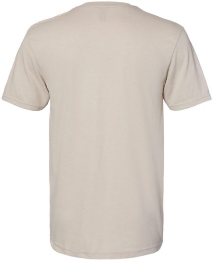 Softstyle CVC T-Shirt Slate Back side